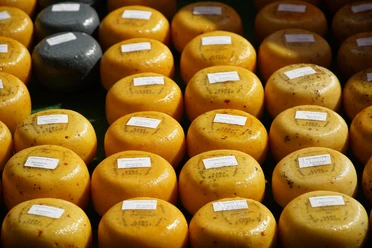 Käse | Beispielbild Käse | Beispielbild