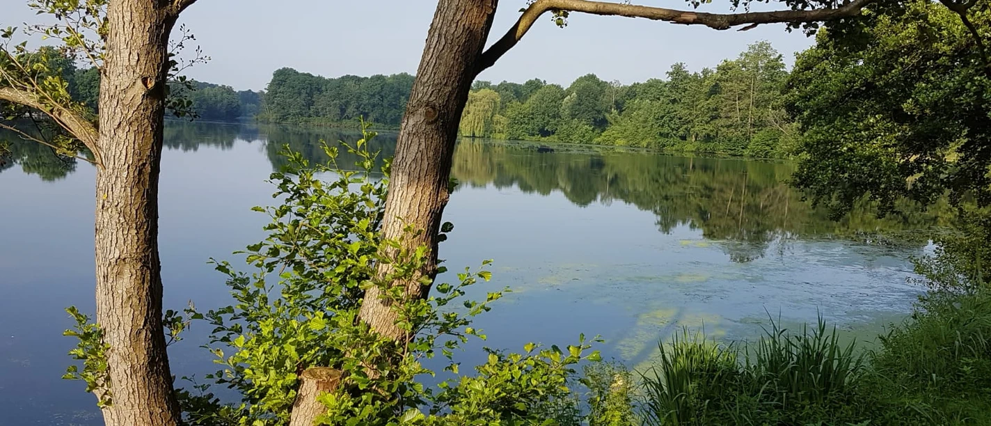 Pröbstingsee