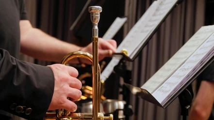 Blasinstrument | Beispielbild Blasinstrument | Beispielbild