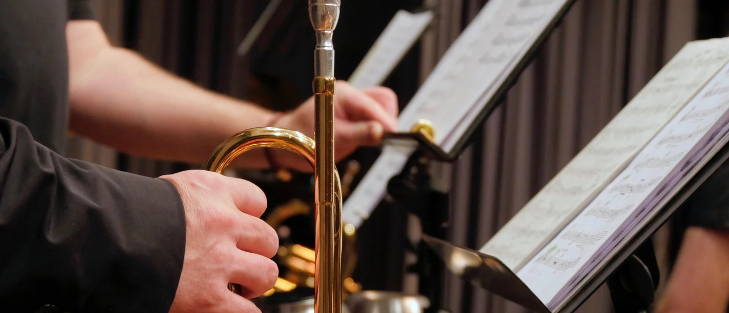 Blasinstrument | Beispielbild Blasinstrument | Beispielbild