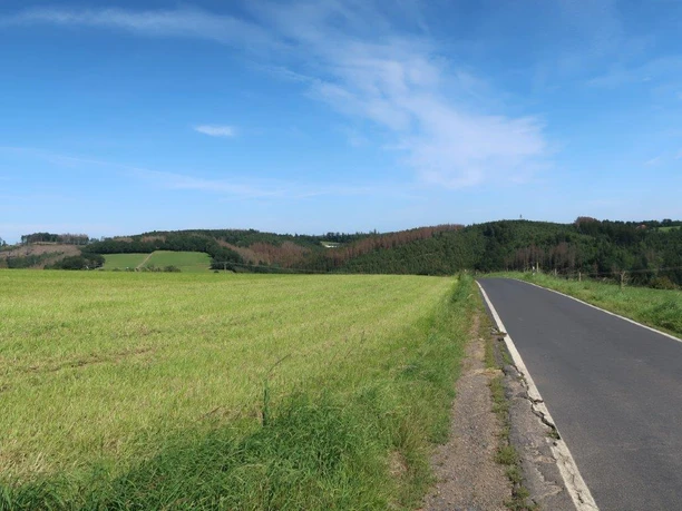 Blick zurück ins Holperbachtal
