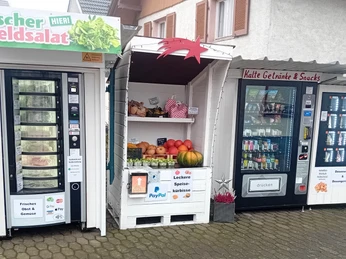 Verkaufsstand_Winter