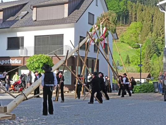 Maibaumstellen Gemeinde Oberwolfach