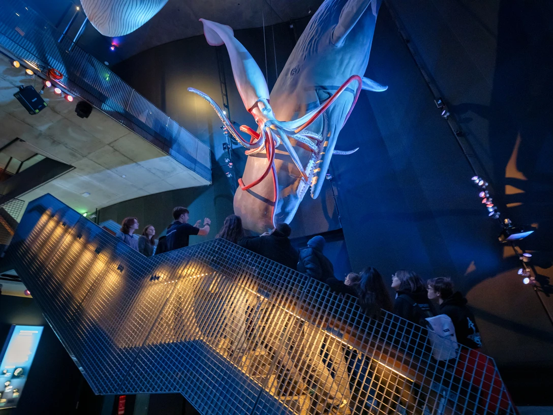 OZEANEUM Gruppe Jugendliche 1M1A8318 Foto Anke Neumeister DMM