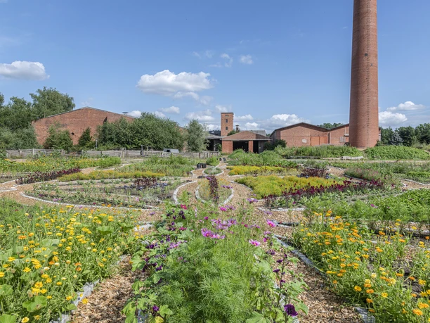 Hof an den Teichen, Blume des Lebens Hof an den Teichen, Blume des Lebens