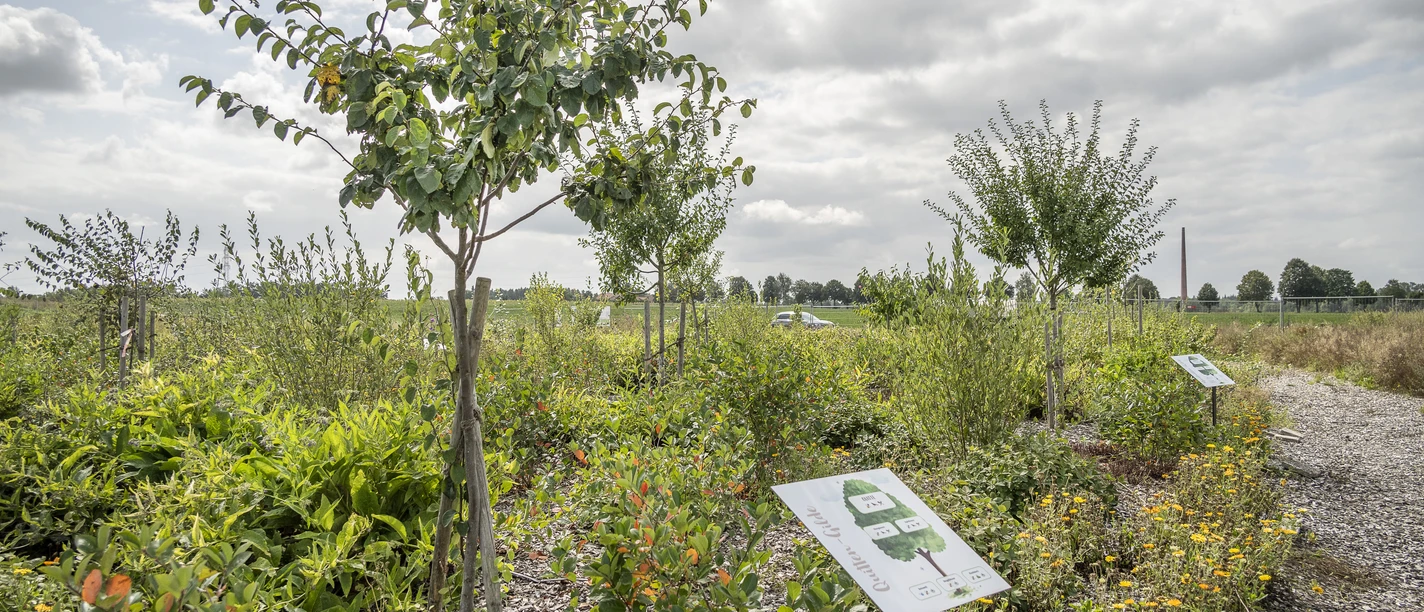 Hof an den Teichen, Waldgarten Hof an den Teichen, Waldgarten