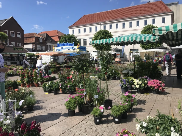Wochenmarkt in Aurich Pflanzenauswahl Wochenmarkt in Aurich Pflanzenauswahl