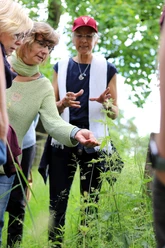 Wildkräuterkurs.JPG Krukow Wildkräuterkurs
