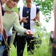 Wildkräuterkurs.JPG Krukow Wildkräuterkurs