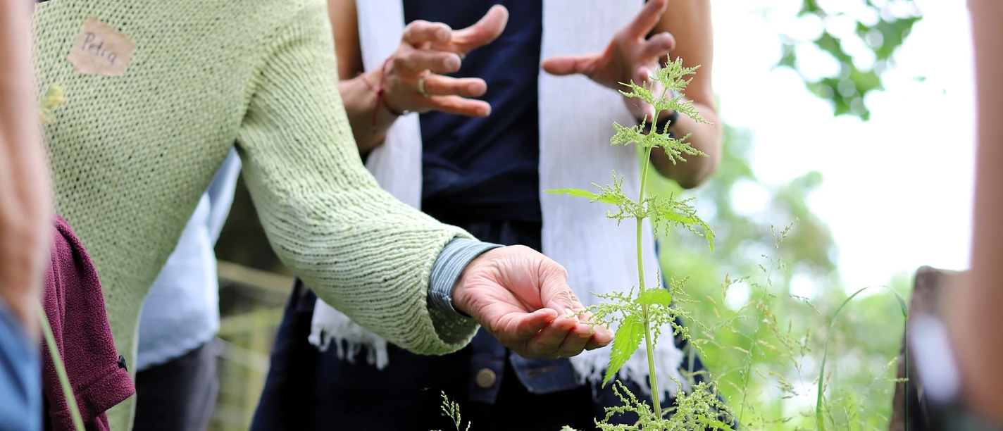 Wildkräuterkurs.JPG Krukow Wildkräuterkurs