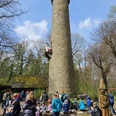 2026 Rapunzel-Turm-Tage (002).jpg