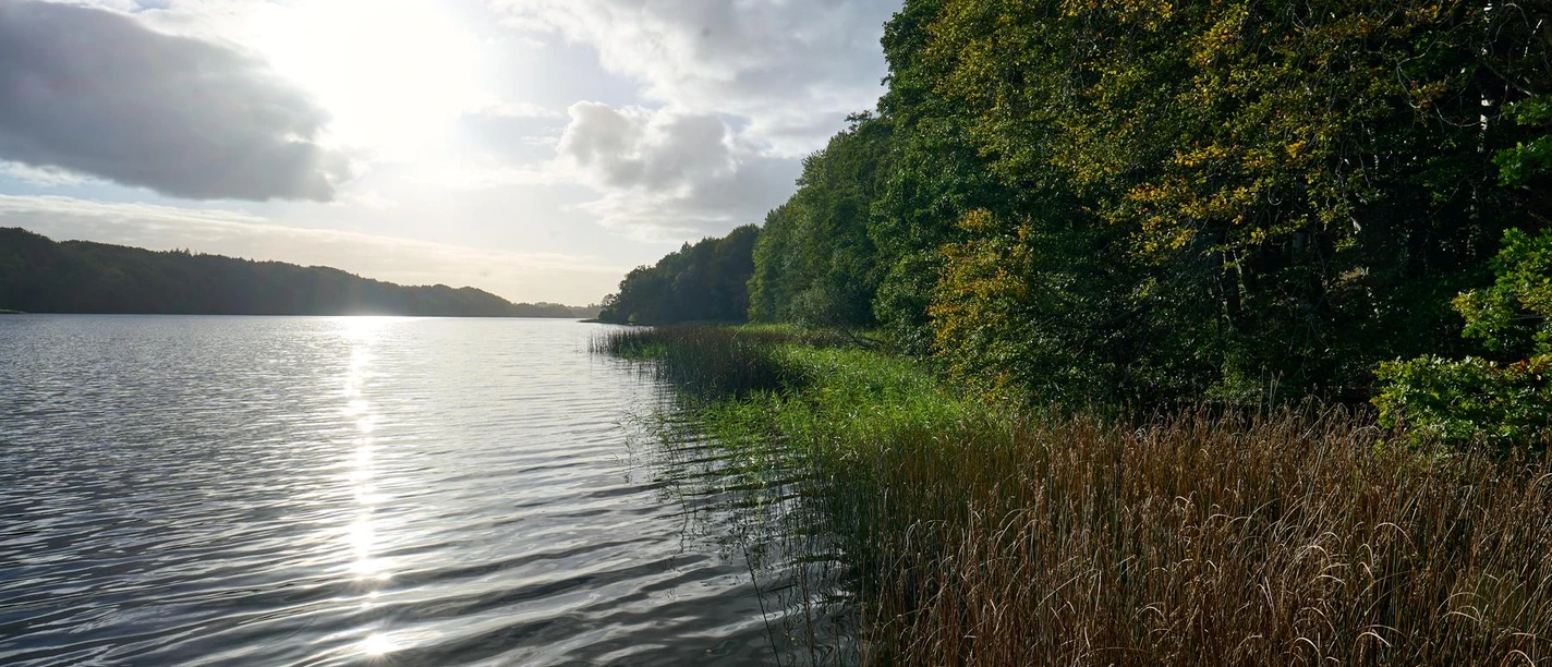 OFS_Langsee Sommer 2023 Polte (39) - Kopie.JPG