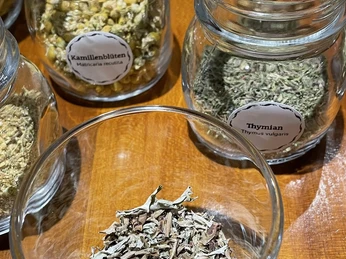 Tee:Workshop - Erkältungskrankheiten