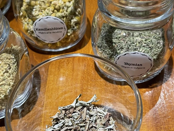 Tee:Workshop - Erkältungskrankheiten