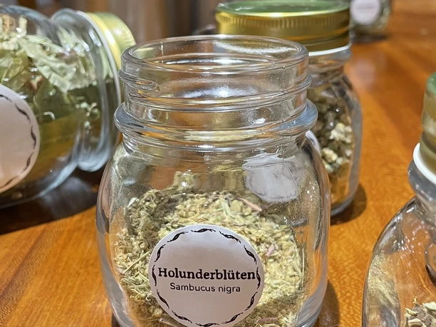 Tee Workshop Frühlingsmüdigkeit