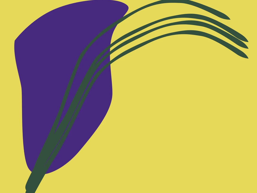 MuK2026 IV Hanni Liang 09 05 2026