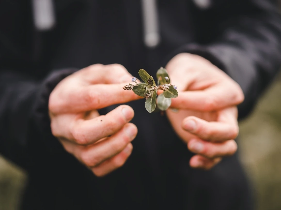 Wellness Hotel Stoos Uchruut Wanderung 01