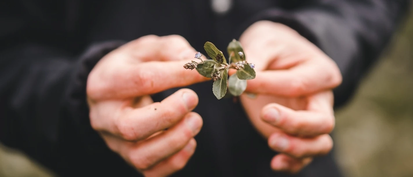 Wellness Hotel Stoos Uchruut Wanderung 01