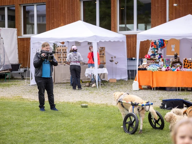 22df3fb4 0b2e 4bd2 b71a 4380889f4cac