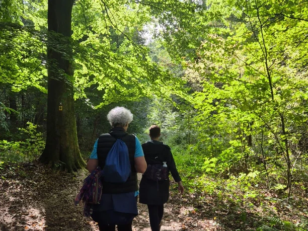 Zwei Personen gehen auf einem schmalen Pfad durch einen grünen Wald. Die Sonne scheint durch die Blätter und schafft eine angenehme Atmosphäre.