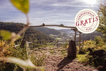 Aussicht am Genussplatz Walterhütte