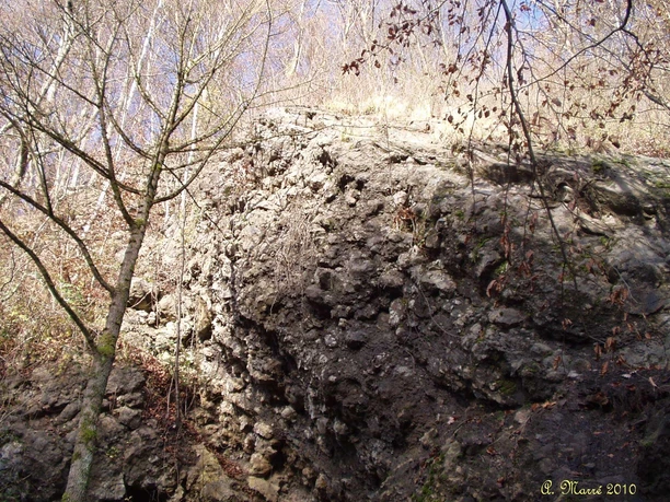 Schlade - fossiles Korallenriff Fossiles Korallenriff, umgeben von Bäumen und Felsformationen in der Natur des Bergischen Landes.
