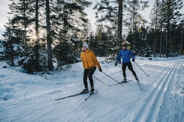Zwei Personen laufen Langlauf im sonnigen verschneiten Winterwald