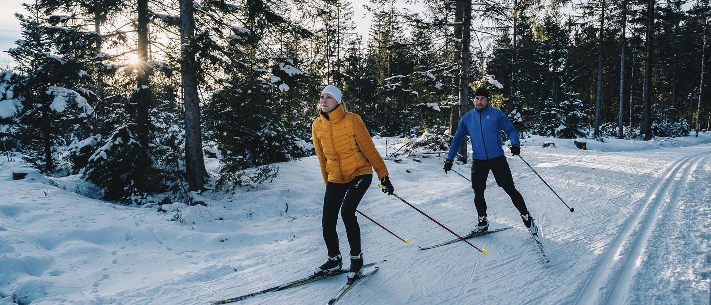 Zwei Personen laufen Langlauf im sonnigen verschneiten Winterwald