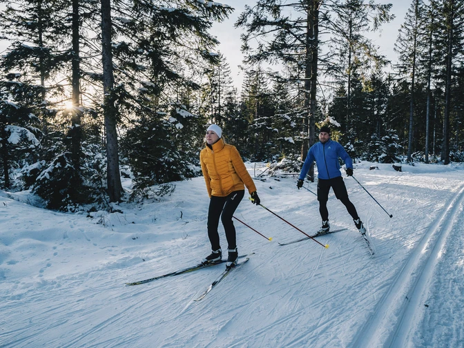 Zwei Personen laufen Langlauf im sonnigen verschneiten Winterwald