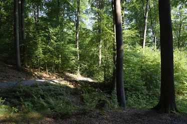 2026_04 + 08 Waldbaden 01 Stadt Rehburg-Loccum (002).JPG