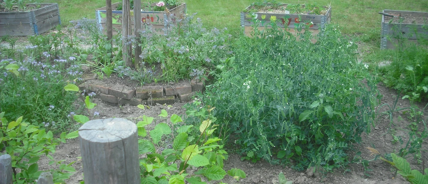 Dorfgarten Kl.png