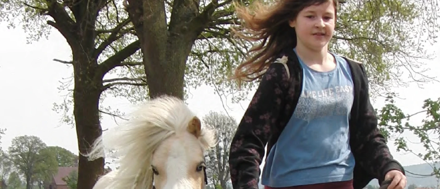 VHS Wanderung mit Mini-Pferden.png Wanderung mit Mini-Pferden