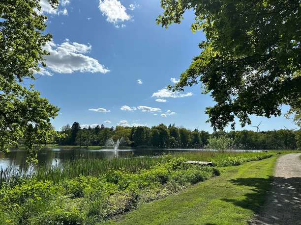 Speckenbüttler Park 13 (c) Vanessa Wilke_Erlebnis Bremerhaven.jpg Sonniger Parkweg am Wasser mit Springbrunnen, grünen Wiesen und Bäumen unter blauem Himmel.