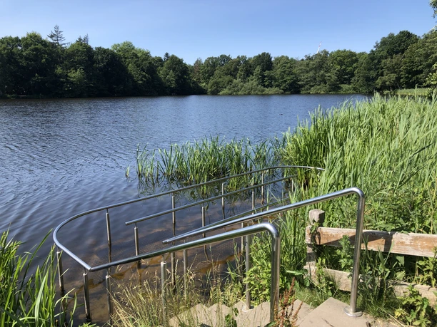 Speckenbütteler Park (c) Mailin Knoke (85).JPG Steg mit Handlauf führt ins klare Wasser eines von Bäumen umgebenen Sees im Speckenbütteler Park. Es ist eine Kneipp-Anlage.
