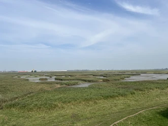 IMG_4539 (c) Mailin Knoke_Erlebnis Bremerhaven.JPG Weitläufige Marschlandschaft mit Schilfflächen, Wasserläufen und Blick auf Bremerhavens Fischereihafen.