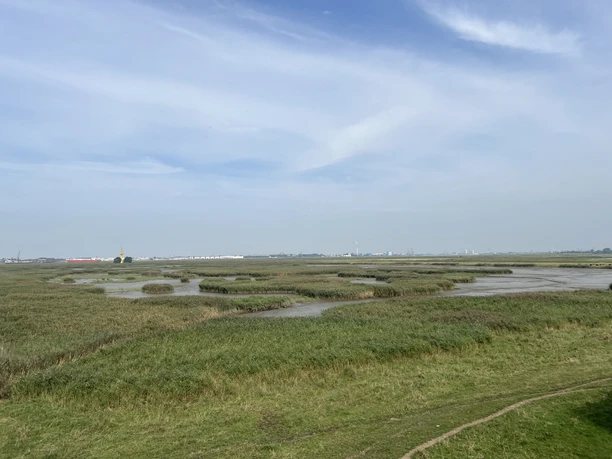 IMG_4539 (c) Mailin Knoke_Erlebnis Bremerhaven.JPG Weitläufige Marschlandschaft mit Schilfflächen, Wasserläufen und Blick auf Bremerhavens Fischereihafen.