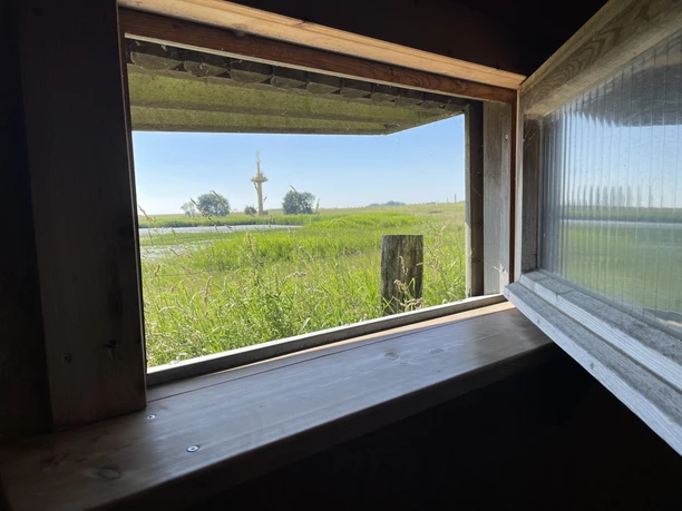 IMG_9536 (c) Mailin Knoke_Erlebnis Bremerhaven.jpg Blick aus einer hölzernen Beobachtungshütte auf grüne Wiesen und Wassergraben der Luneplate Bremerhaven
