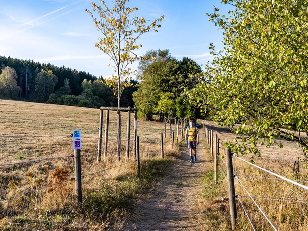 Auf der Traumschleife Almglück