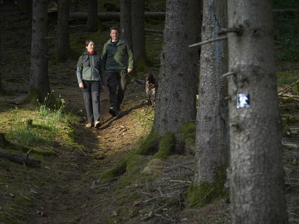 Unterwegs auf dem Sellinghauser Bergmannspfad