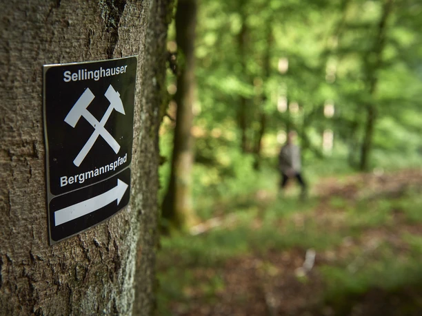 Unterwegs auf dem Sellinghauser Bergmannspfad