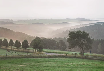 Nebel über Windeck