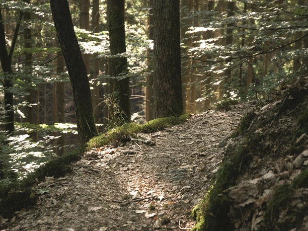 Herchener Höhenpfad