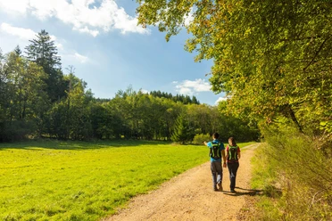 Wanderer am Waldrand
