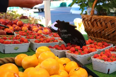 ibbenbueren-wochenmarkt