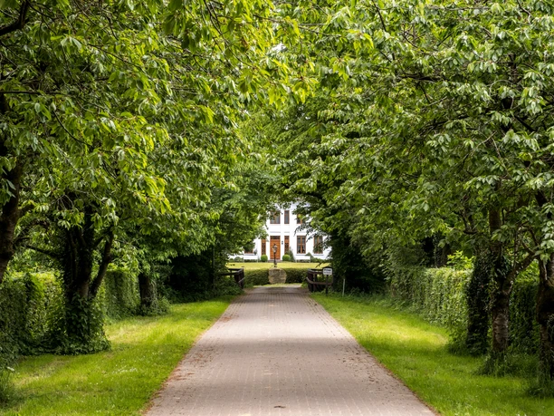 Allee in Hanerau-Hademarschen