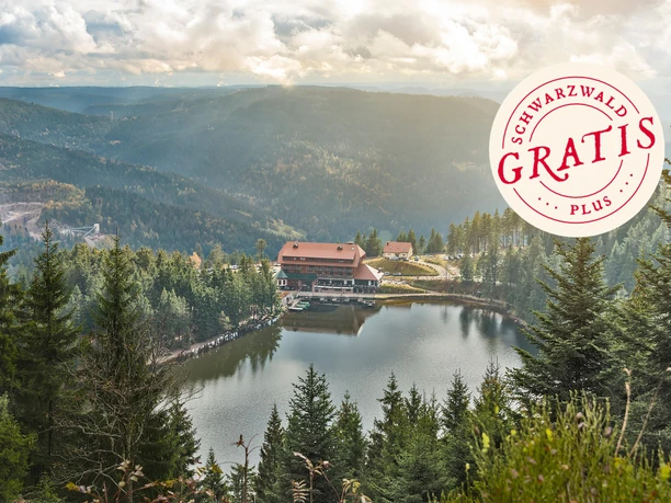 Blick auf Mummelsee und Berghotel Mummelsee