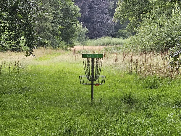 20240810_154403 (c) Tanja Mehl_Erlebnis Bremerhaven.jpg Disc-Golf-Korb auf einer grünen Wiese im Bürgerpark Bremerhaven, umgeben von Bäumen und hohem Gras.