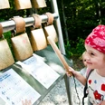 Schönegger Käse-Alm Ein Kind spielt mit Kuhglocken. Bunte Noten machen Gästen Freude.