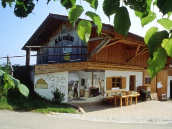 Schönegger Käse-Alm Holzhaus mit Käse-Alm Bild, Sitzbank und grünen Blättern im Vordergrund.