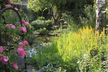 Gartenglück Apfelreich Ein Garten mit vielen Blumen. Ein kleiner Teich liegt zwischen den Pflanzen.